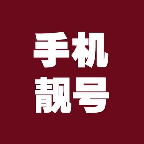 靓号机(靓号机主转网)