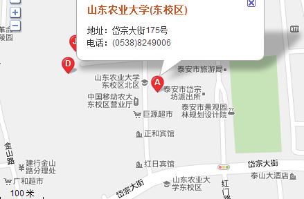 泰安的座机号(泰安座机号码是几位数)