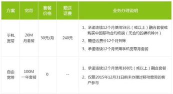 300兆移动宽带一个月多少钱(300兆移动宽带一个月多少钱正常)