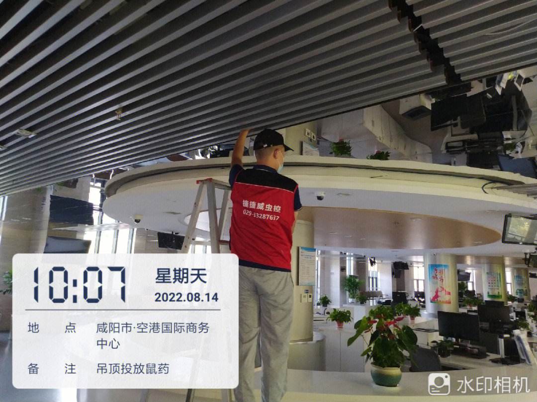 西安灭蚁中心电话(西安灭白蚁公司电话)
