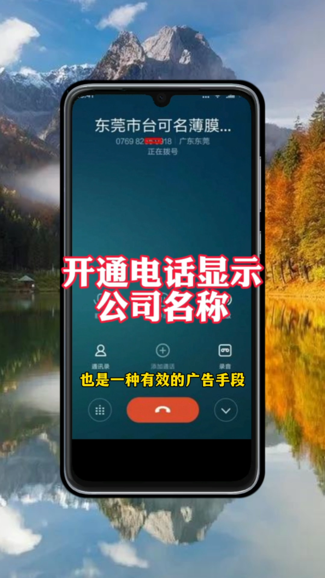 石家庄座机号码大全(石家庄座机号码大全电话号码)